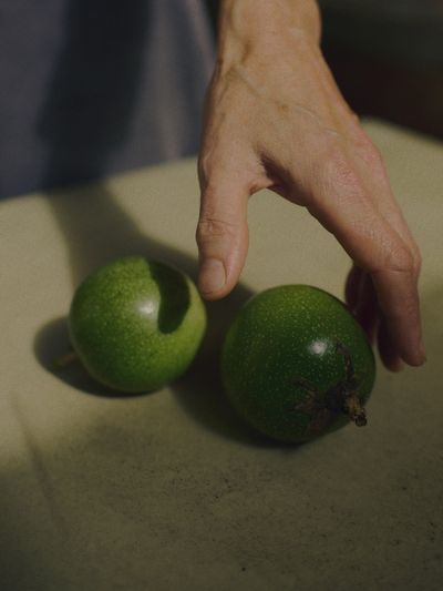 Hand reaching toward two ripe green passionfruit, low warm sun.