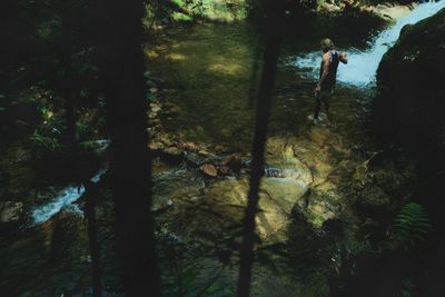 A person wades across a shaded forest creek towards a small waterfall.