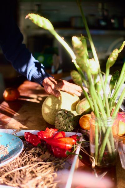 Hands preparing fresh vegetables and herbs.