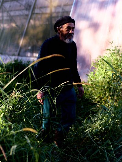 Gardener tending plants in a greenhouse.
